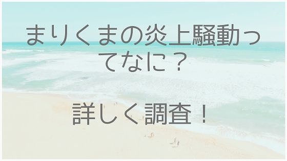 まりくま、炎上、