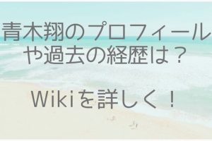 青木翔、プロフィール、Wiki