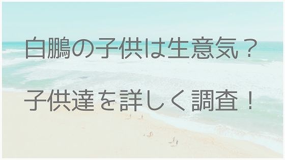 白鵬、子供、生意気、慶応