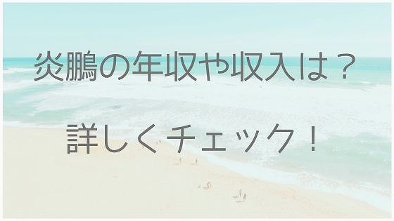 炎鵬、年収、収入