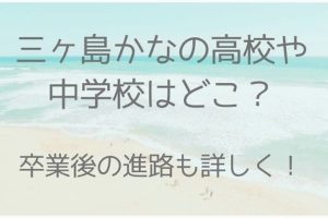 三ヶ島かな、高校